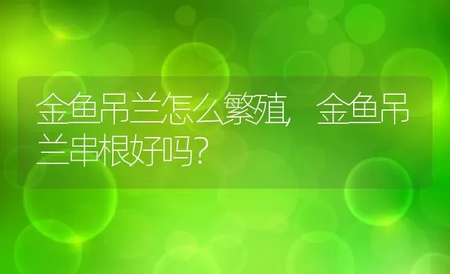 金鱼吊兰怎么繁殖,金鱼吊兰串根好吗？ | 养殖常见问题