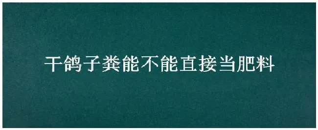 干鸽子粪能不能直接当肥料 | 三农答疑