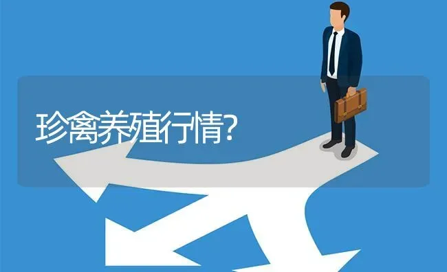 珍禽养殖行情? | 养殖问题解答