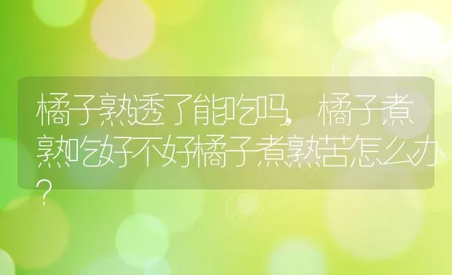 橘子熟透了能吃吗,橘子煮熟吃好不好橘子煮熟苦怎么办？ | 养殖常见问题