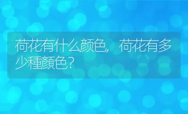 荷花有什么颜色,荷花有多少種顏色？ | 养殖常见问题