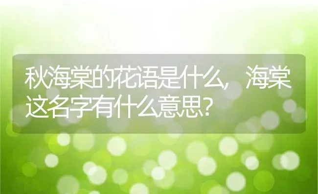 秋海棠的花语是什么,海棠这名字有什么意思？ | 养殖常见问题