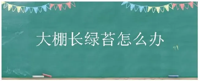 大棚长绿苔怎么办 | 农业问题