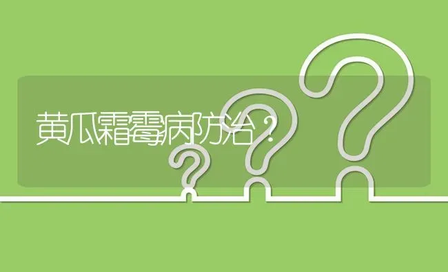 黄瓜霜霉病防治? | 养殖问题解答