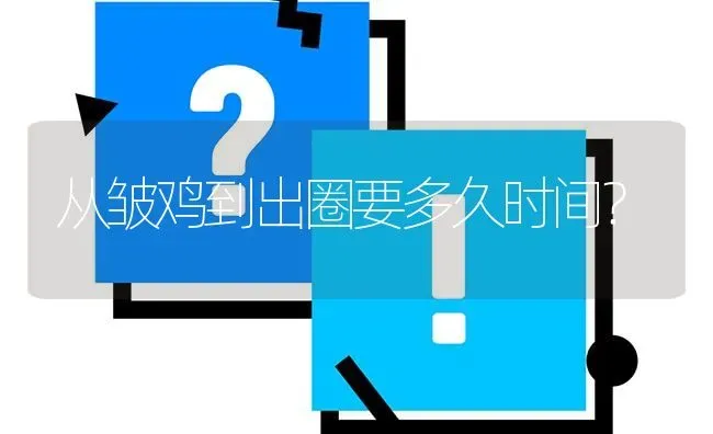 从皱鸡到出圈要多久时间? | 养殖问题解答