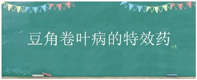 豆角卷叶病的特效药 | 三农问答