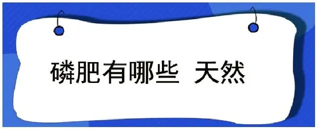 磷肥有哪些 天然 | 农业常识