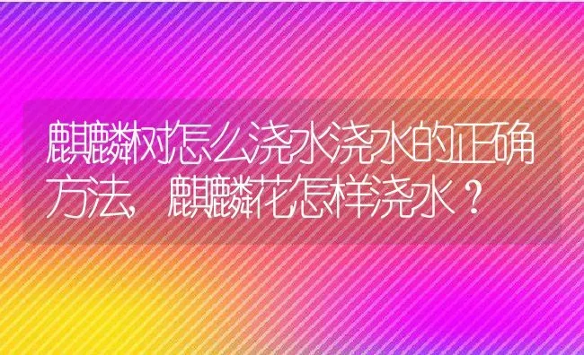 如何对付聊天消失的人,女生说不见网友怎么回复？ | 养殖常见问题