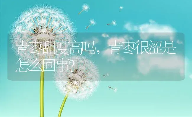 青枣甜度高吗,青枣很涩是怎么回事？ | 养殖常见问题