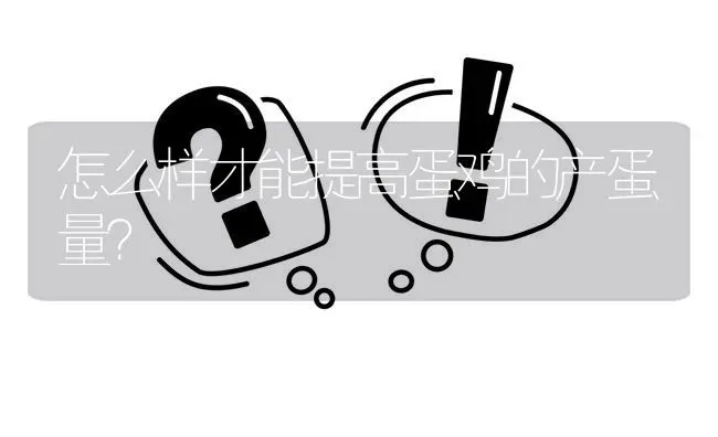 怎么样才能提高蛋鸡的产蛋量? | 养殖问题解答