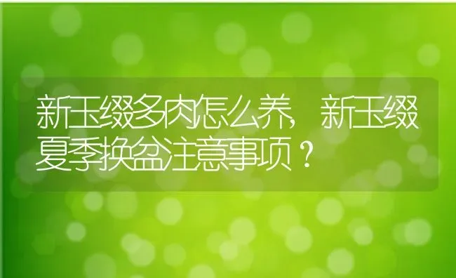 新玉缀多肉怎么养,新玉缀夏季换盆注意事项？ | 养殖常见问题