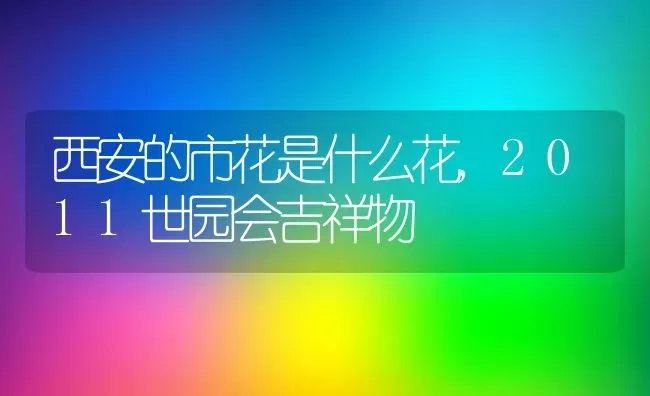 百香果一年四季都有吗在几月份吃最好吃,百香果一年四季常绿吗？ | 养殖常见问题