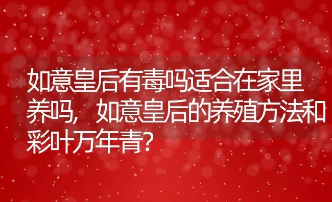 如意皇后有毒吗适合在家里养吗,如意皇后的养殖方法和彩叶万年青？ | 养殖常见问题