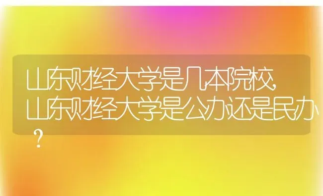 山东财经大学是几本院校,山东财经大学是公办还是民办？ | 养殖常见问题