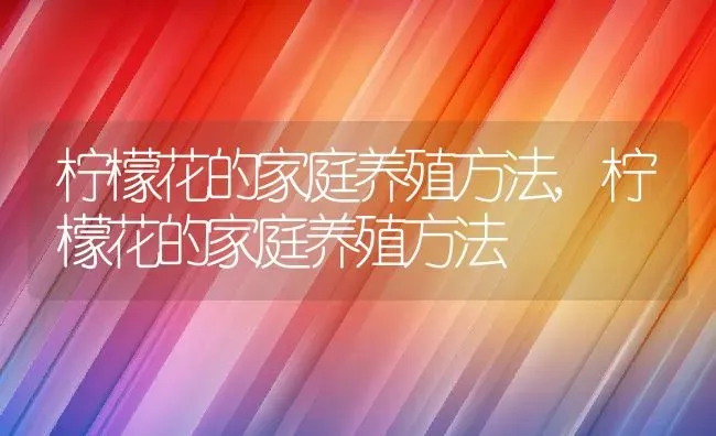 柠檬花的家庭养殖方法,柠檬花的家庭养殖方法 | 养殖常见问题