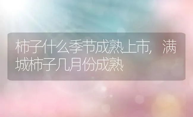柿子什么季节成熟上市,满城柿子几月份成熟 | 养殖常见问题