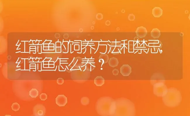 红箭鱼的饲养方法和禁忌,红箭鱼怎么养？ | 养殖常见问题