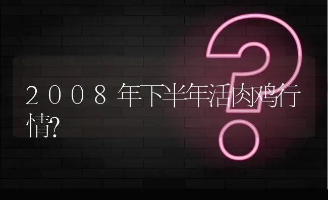 2008年下半年活肉鸡行情? | 养殖问题解答