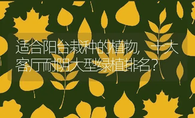 适合阳台栽种的植物,十大客厅耐阴大型绿植排名？ | 养殖常见问题