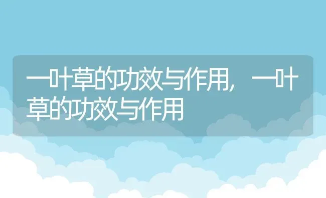 曾国藩十六字家训箴言解释,曾国藩16字真言？ | 养殖常见问题