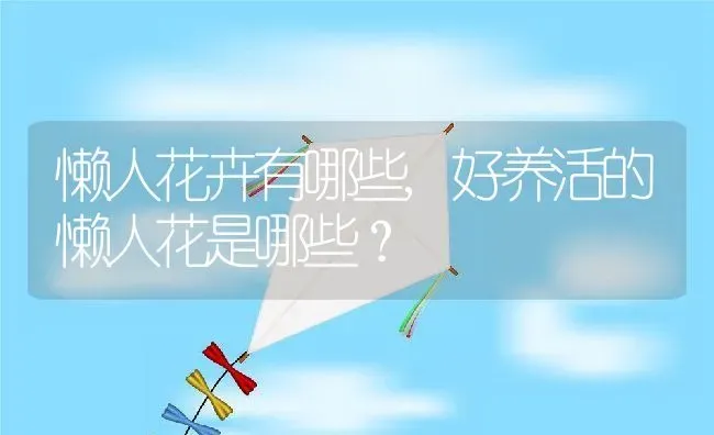懒人花卉有哪些,好养活的懒人花是哪些？ | 养殖常见问题