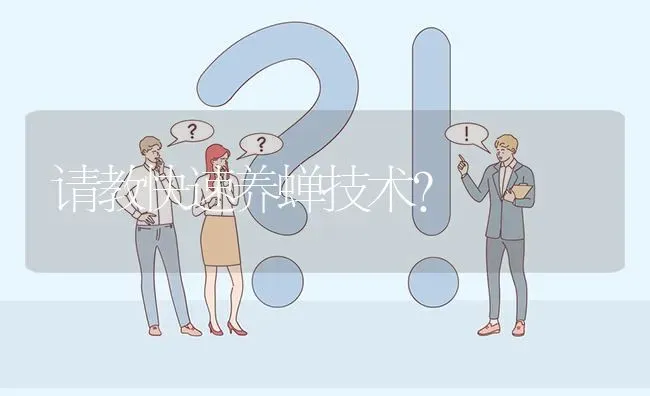 请教快速养蝉技术? | 养殖问题解答