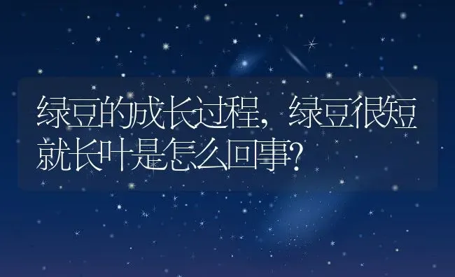 绿豆的成长过程,绿豆很短就长叶是怎么回事？ | 养殖常见问题