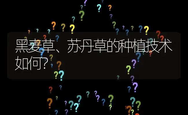 黑麦草、苏丹草的种植技术如何? | 养殖问题解答