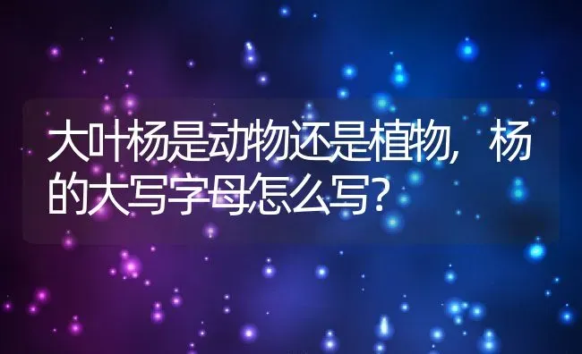 大叶杨是动物还是植物,杨的大写字母怎么写？ | 养殖常见问题