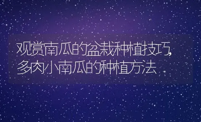 细叶麦冬属于什么植物类型,青叶麦冬和细叶麦冬的区别 | 养殖常见问题