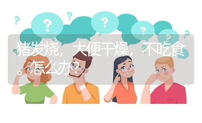 猪发烧,大便干燥,不吃食。怎么办? | 养殖问题解答