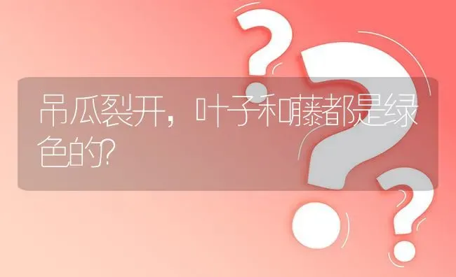 吊瓜裂开,叶子和藤都是绿色的? | 养殖问题解答