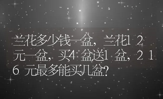 兰花多少钱一盆,兰花12元一盆,买4盆送1盆,216元最多能买几盆？ | 养殖常见问题