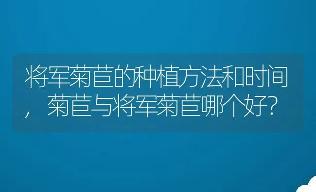 将军菊苣的种植方法和时间,菊苣与将军菊苣哪个好？ | 养殖常见问题