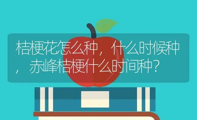 桔梗花怎么种，什么时候种,赤峰桔梗什么时间种？ | 养殖常见问题