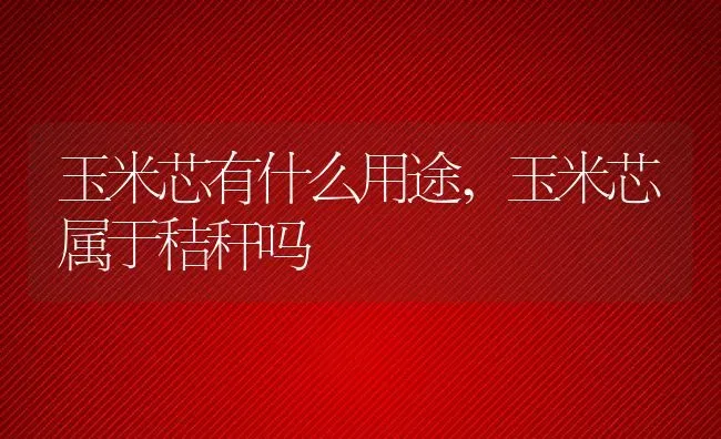 玉米芯有什么用途,玉米芯属于秸秆吗 | 养殖常见问题