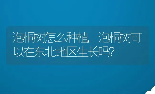 泡桐树怎么种植,泡桐树可以在东北地区生长吗？ | 养殖常见问题