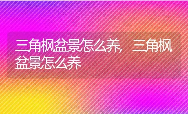 三角枫盆景怎么养,三角枫盆景怎么养 | 养殖常见问题