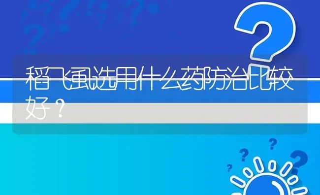 稻飞虱选用什么药防治比较好? | 养殖问题解答