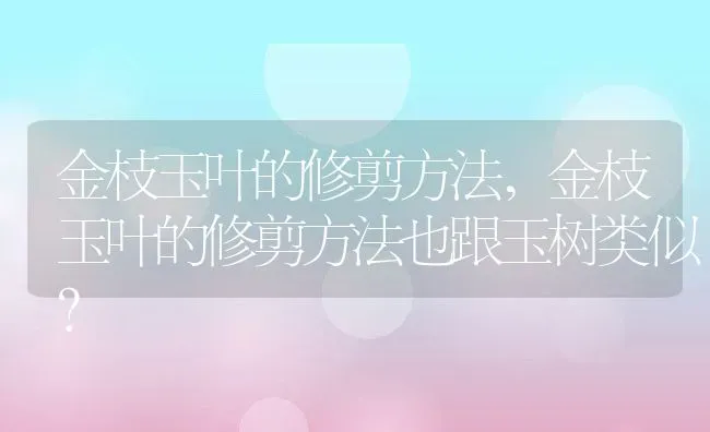 金枝玉叶的修剪方法,金枝玉叶的修剪方法也跟玉树类似？ | 养殖常见问题