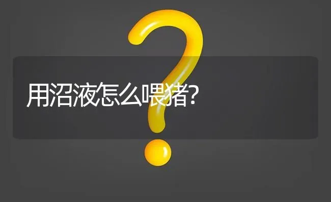 用沼液怎么喂猪? | 养殖问题解答