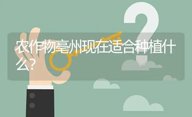 农作物亳州现在适合种植什么? | 养殖问题解答