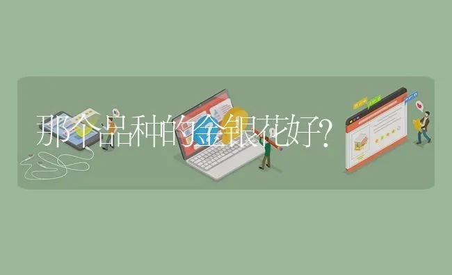 那个品种的金银花好? | 养殖问题解答