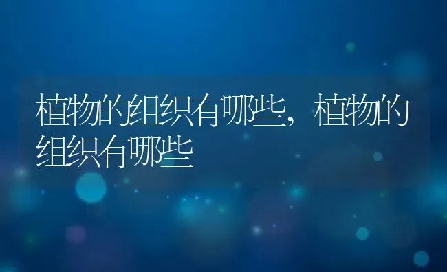 植物的组织有哪些,植物的组织有哪些 | 养殖常见问题
