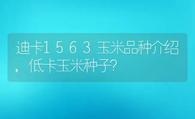 迪卡1563玉米品种介绍,低卡玉米种子？ | 养殖常见问题