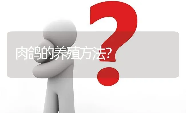 肉鸽的养殖方法? | 养殖问题解答