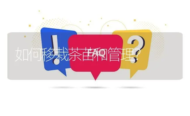 如何移栽茶苗和管理? | 养殖问题解答