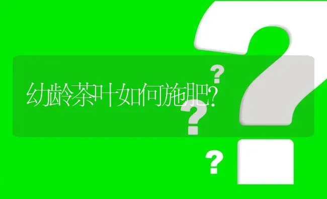 幼龄茶叶如何施肥? | 养殖问题解答