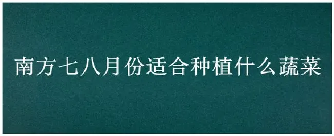 南方七八月份适合种植什么蔬菜 | 生活常识