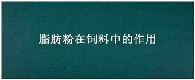 脂肪粉在饲料中的作用 | 三农答疑